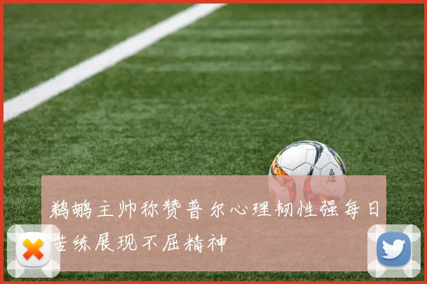 鹈鹕主帅称赞普尔心理韧性强每日苦练展现不屈精神