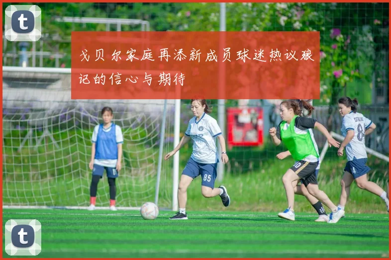 戈贝尔家庭再添新成员球迷热议狼记的信心与期待