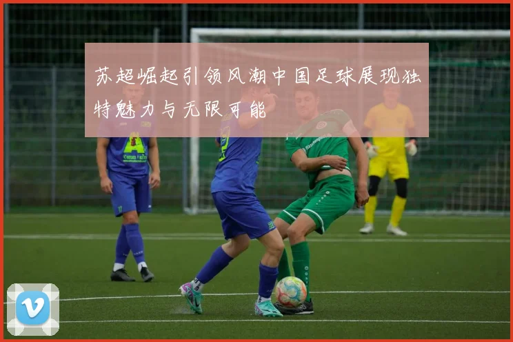 苏超崛起引领风潮中国足球展现独特魅力与无限可能