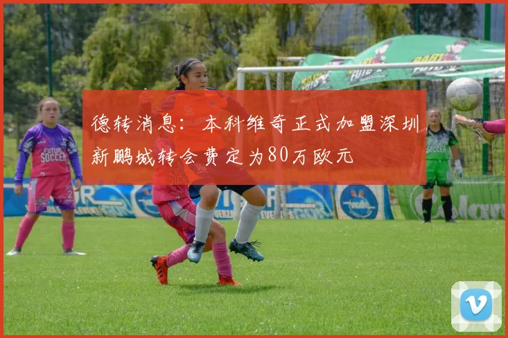 德转消息：本科维奇正式加盟深圳新鹏城转会费定为80万欧元