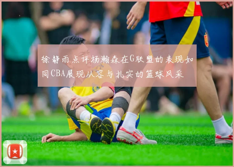 徐静雨点评杨瀚森在G联盟的表现如同CBA展现从容与扎实的篮球风采