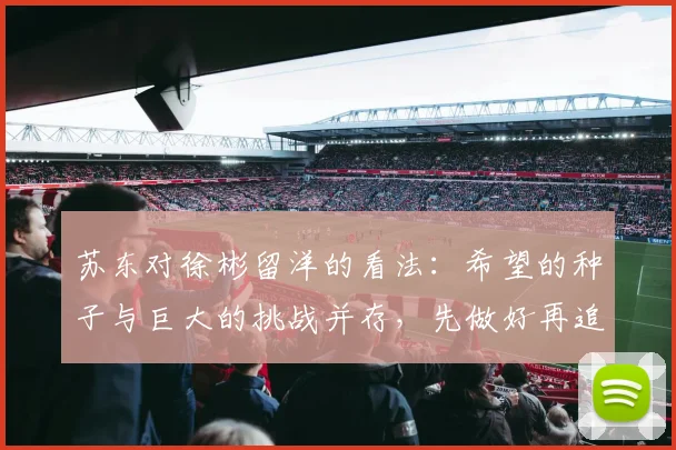 苏东对徐彬留洋的看法：希望的种子与巨大的挑战并存，先做好再追求完美