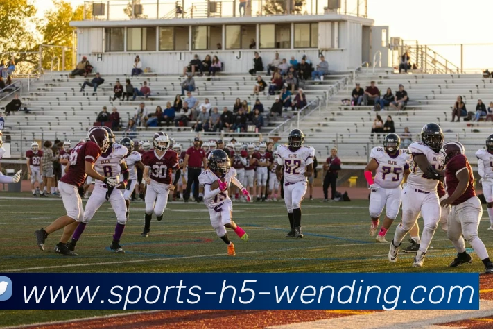 问鼎娱乐APP 体育赛事宣传图